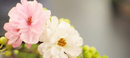 Au pays des fleurs – couronne de fleurs by sia