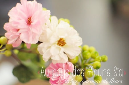 Au pays des fleurs-1