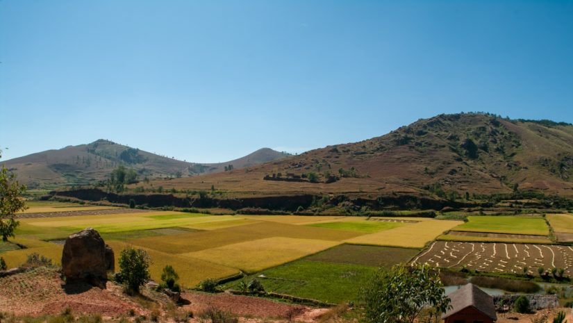 La vérité sur la vie à Madagascar