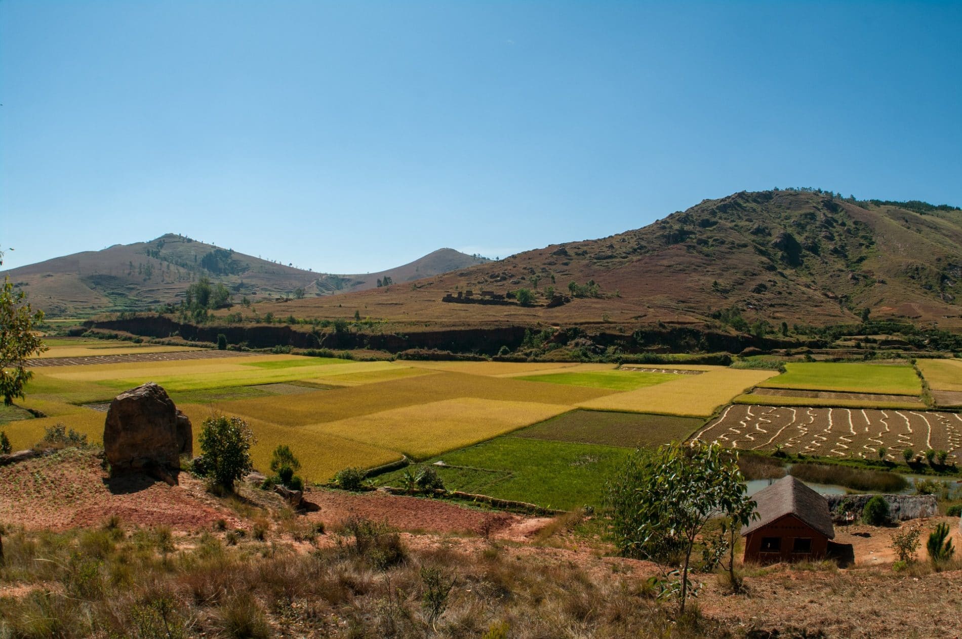 La vérité sur la vie à Madagascar