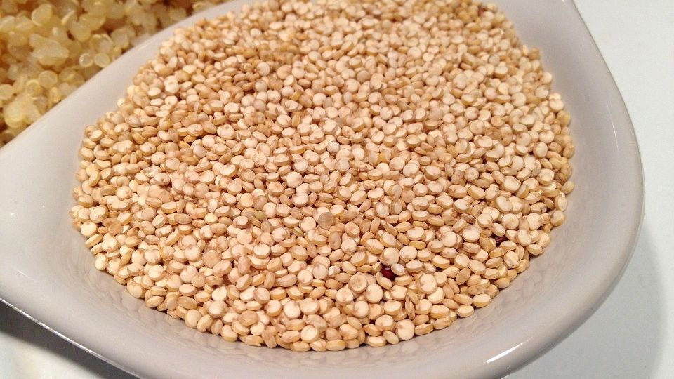 quinoa-405538_960_720